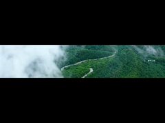 कोलोन कंपनी विकास