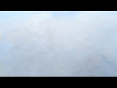 केलोंग कंपनी विकास